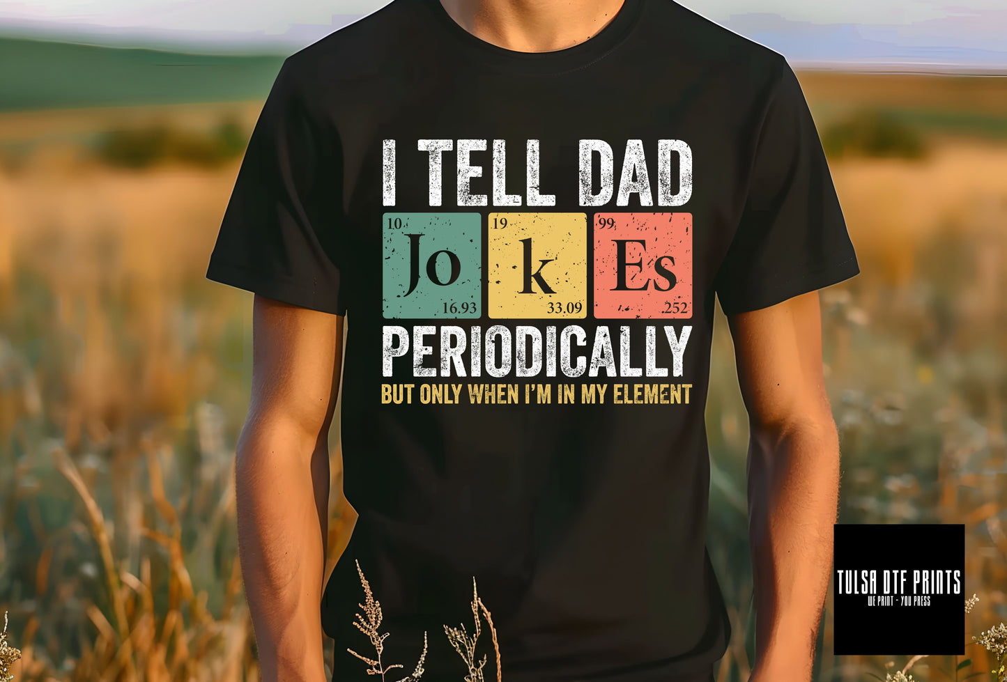 DTF I TELL DAD JOKES PERIODICALLY TRANSFER