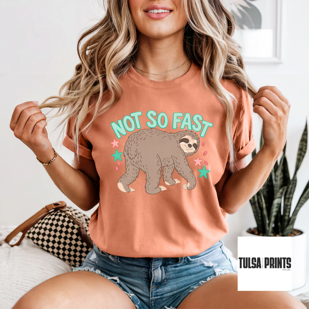 DTF NOT SO FAST SLOTH TRANSFER