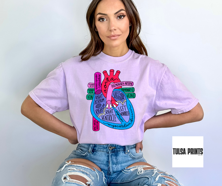 DTF HEART ANATOMY TRANSFER