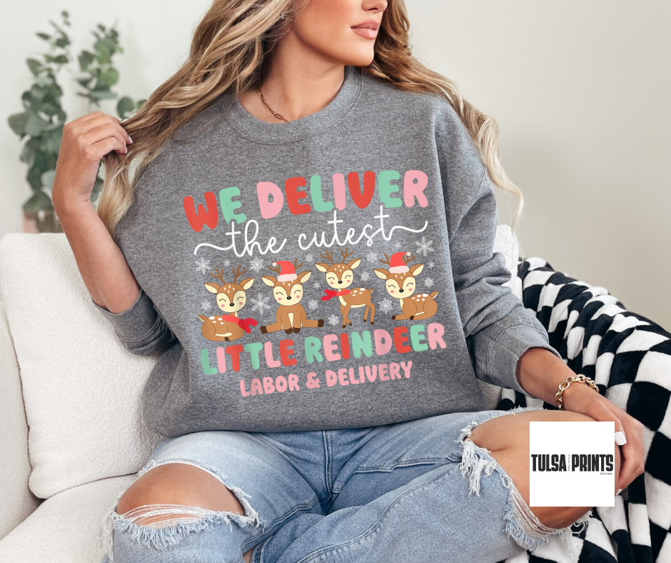 DTF LITTLE REINDEER LABOR & DELIVERY TRANSFER