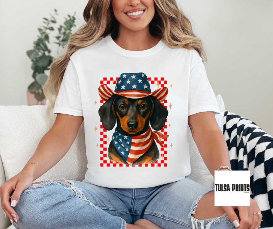 DTF WESTERN AMERICAN DACHSHUND TRANSFER