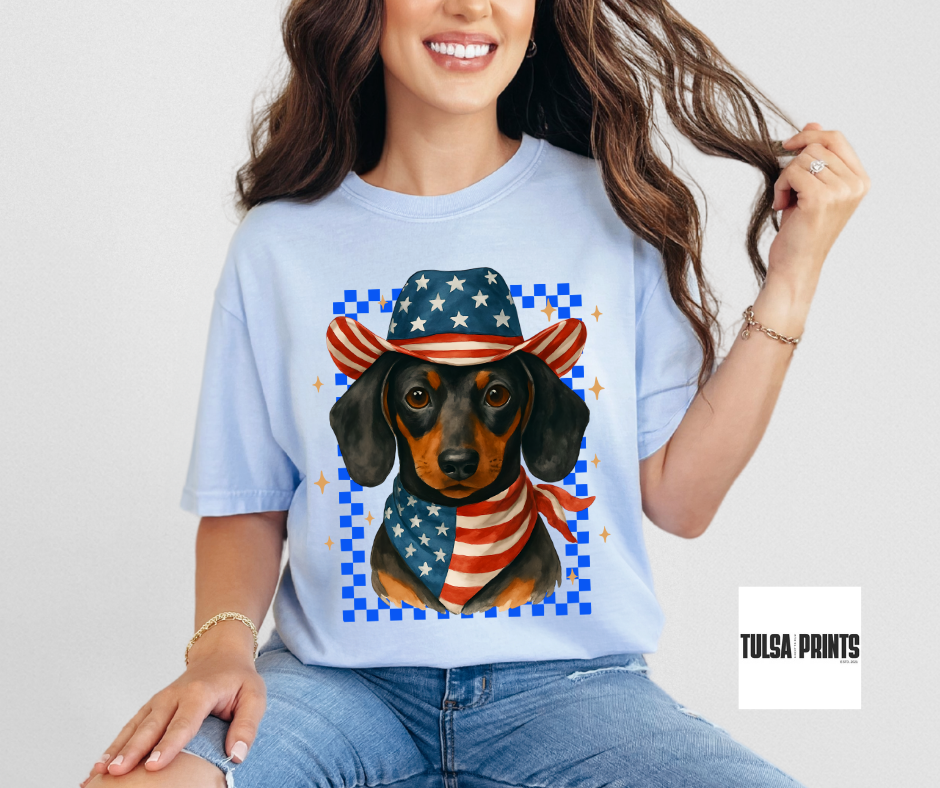 DTF WESTERN AMERICAN DACHSHUND TRANSFER