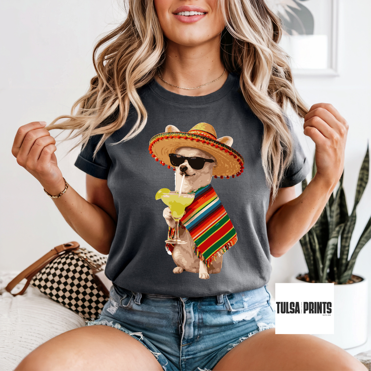 DTF CINCO DE MAYO DOG TRANSFER