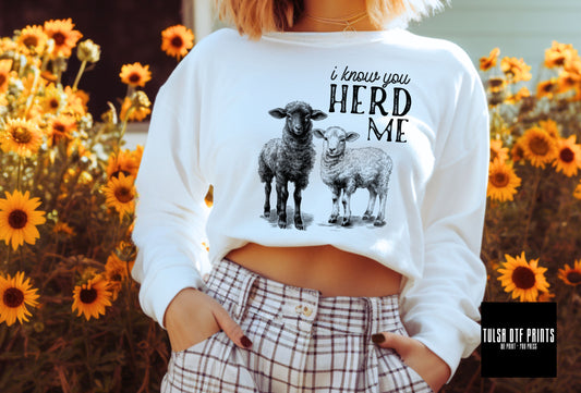 DTF I KNOW YOU HERD ME TRANSFER