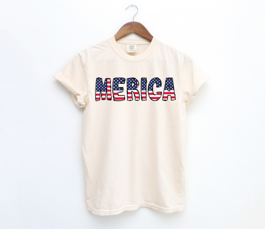 DTF MERICA DISTRESSED USA TRANSFER