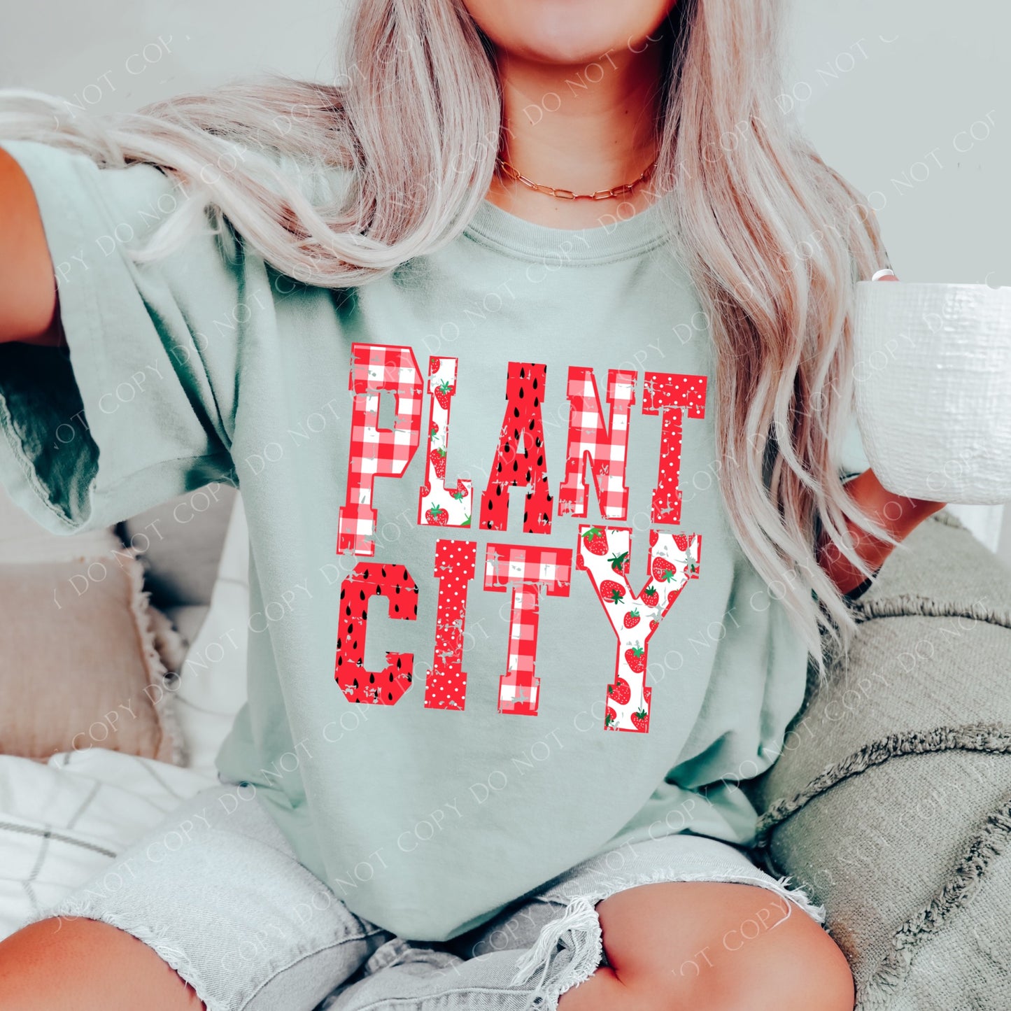 DTF PLANT CITY STRAWBERRY DOTS/GINGHAM TRANSFER