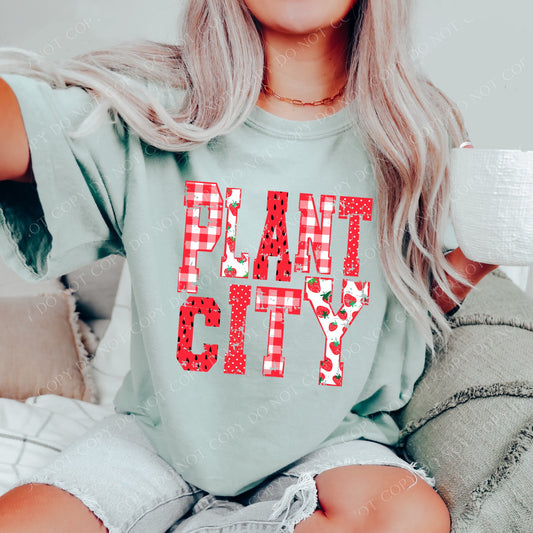 DTF PLANT CITY STRAWBERRY DOTS/GINGHAM TRANSFER