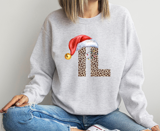 DTF ILLINOIS LEO CHRISTMAS HAT TRANSFER