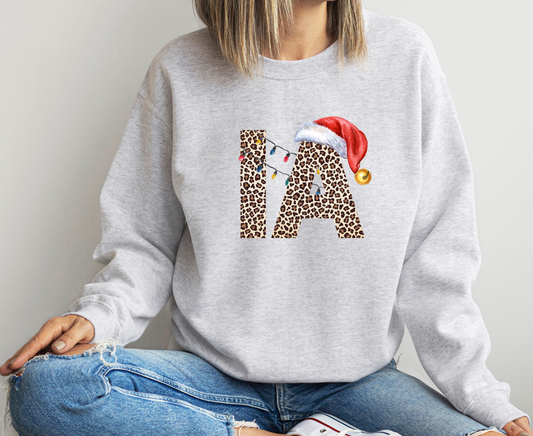 DTF IOWA LEO CHRISTMAS HAT TRANSFER